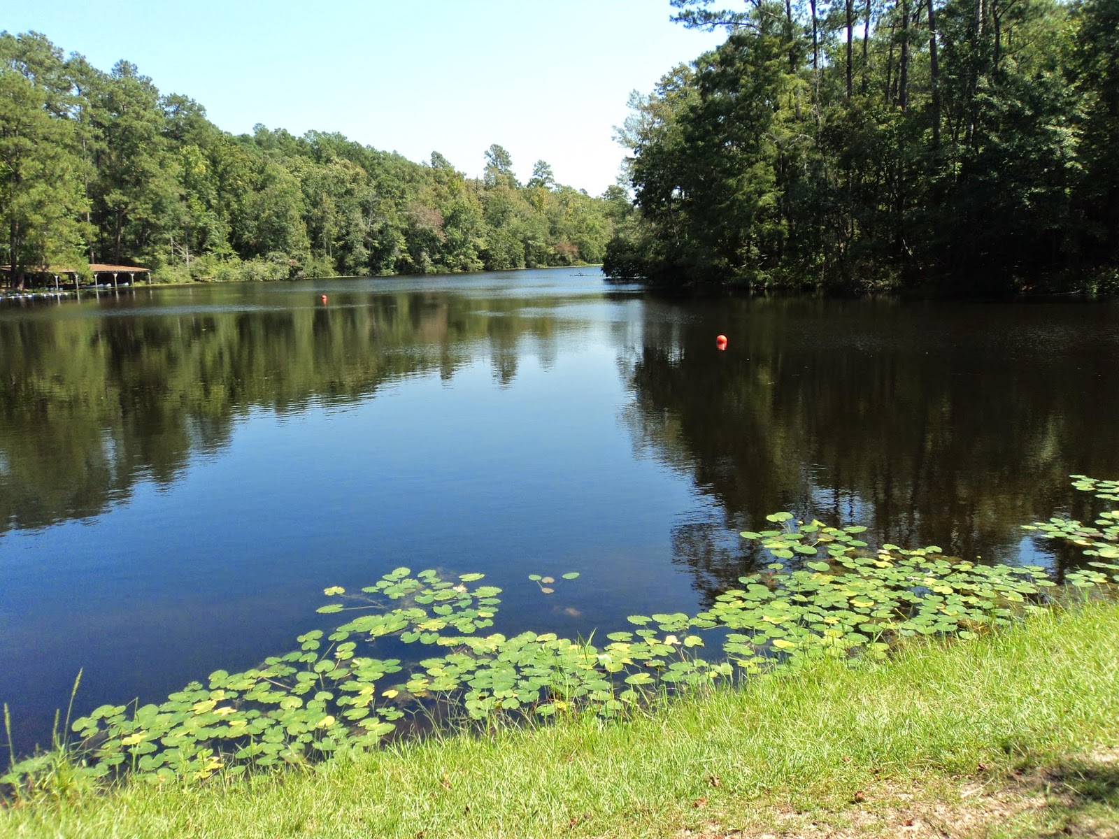 Mathprofhiker S Trail Journal Poinsett State Park Coquina And