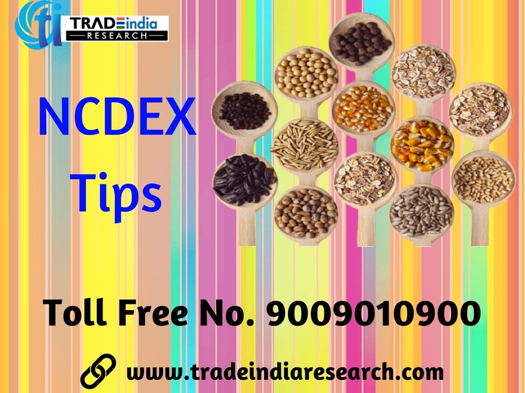 Best free nifty option tips