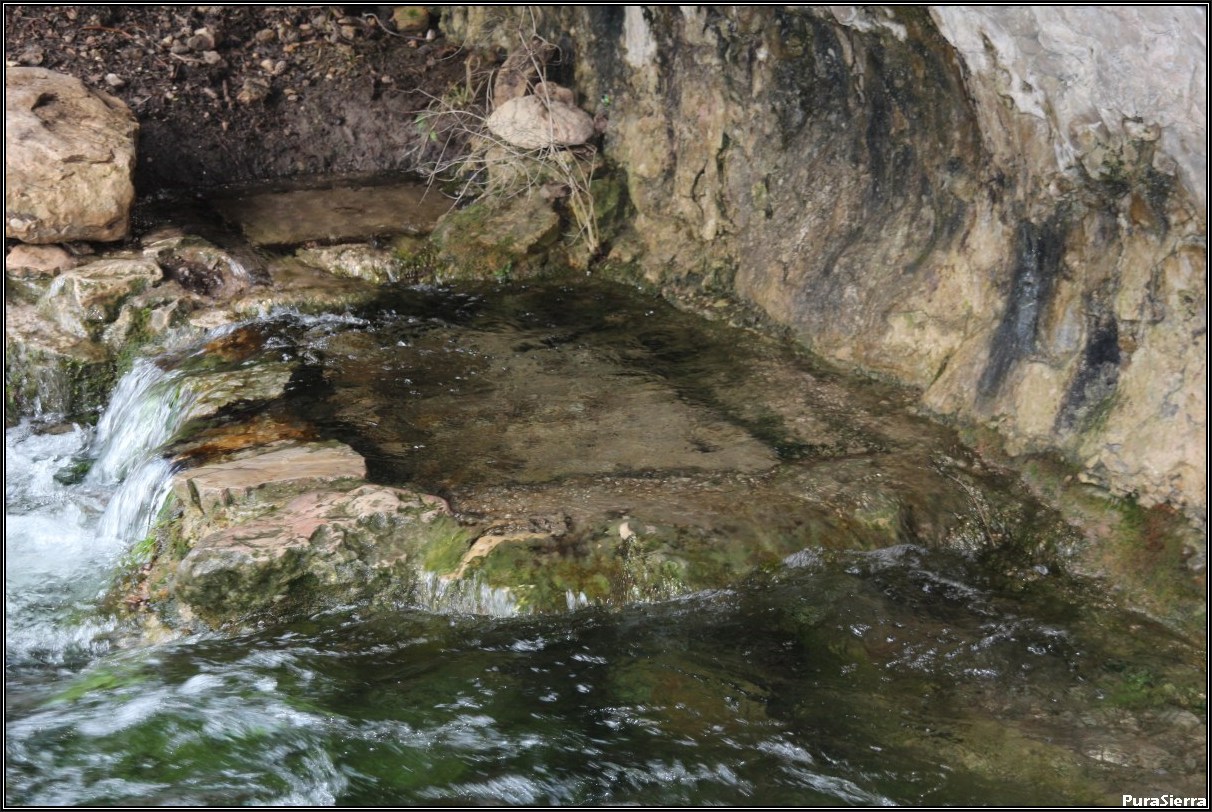 Nacimiento Del Río Cuervo (surgencia derecha)