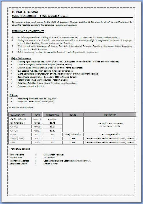 accounting resume template
