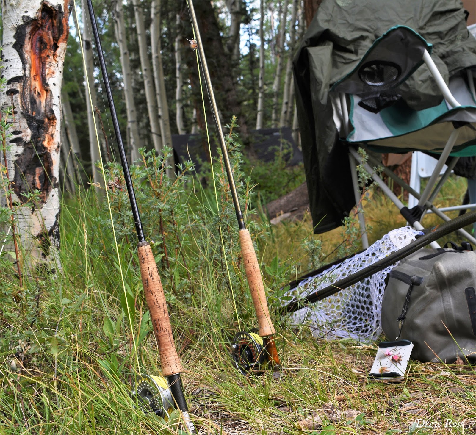 Looknfishy Fly Fishing Southwest Colorado The Conejos Drainage