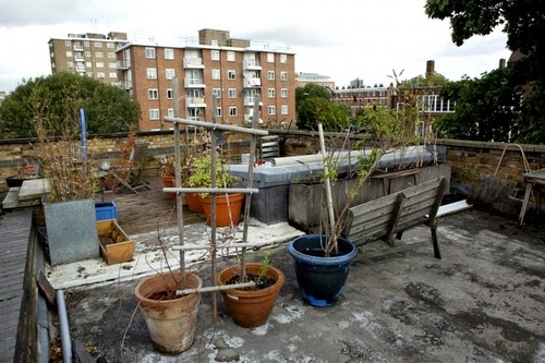 09-1st-Floor-Studio-Mews-Apartment-Camden-London-UK-Skylight-Roof-Terrace-Garden