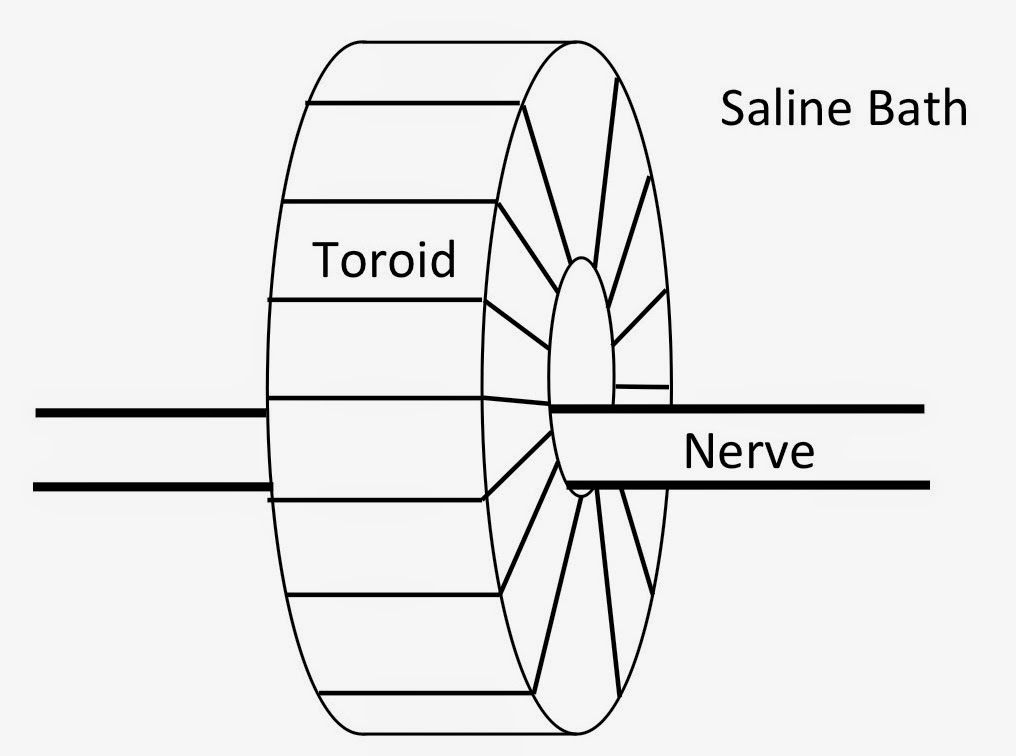 A drawing of a wire-wound ferrite-core toroid, used to measure the magnetic field of a nerve axon.