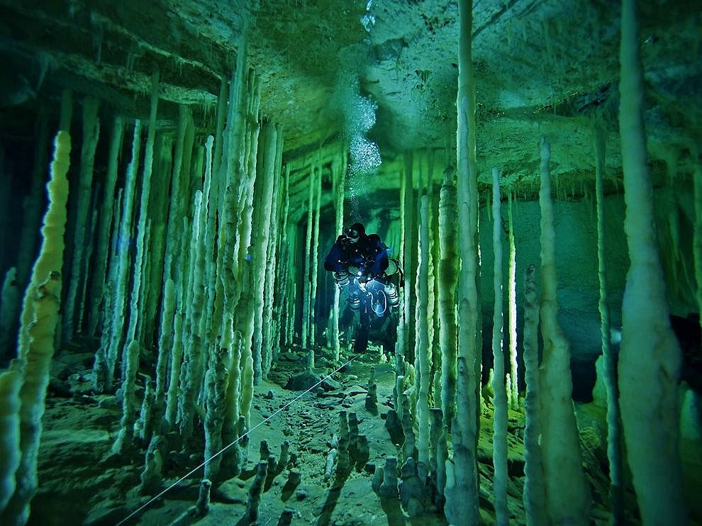 Diving cenotes