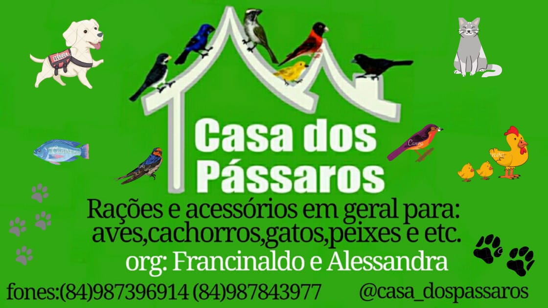 CASA DOS PÁSSAROS