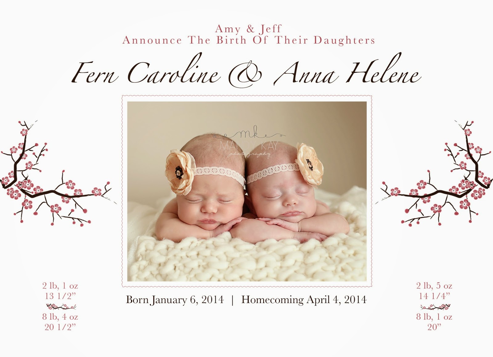 Preemie Prints Information Blog Baby Girl Preemie Birth Announcement