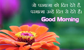 Good Morning flower images free download Good Morning flower images free download