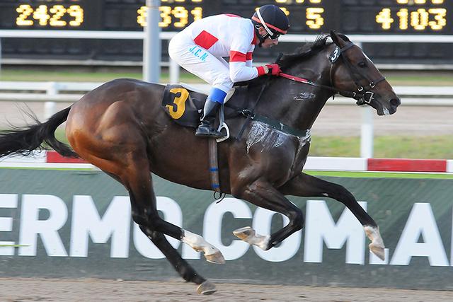 El Rosador corre hoy el Handicap Cheerful en Palermo El Rosador Sidney's Candy Palermo