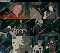 NaShJapEsp_280_WolfAustral_ssss.jpg