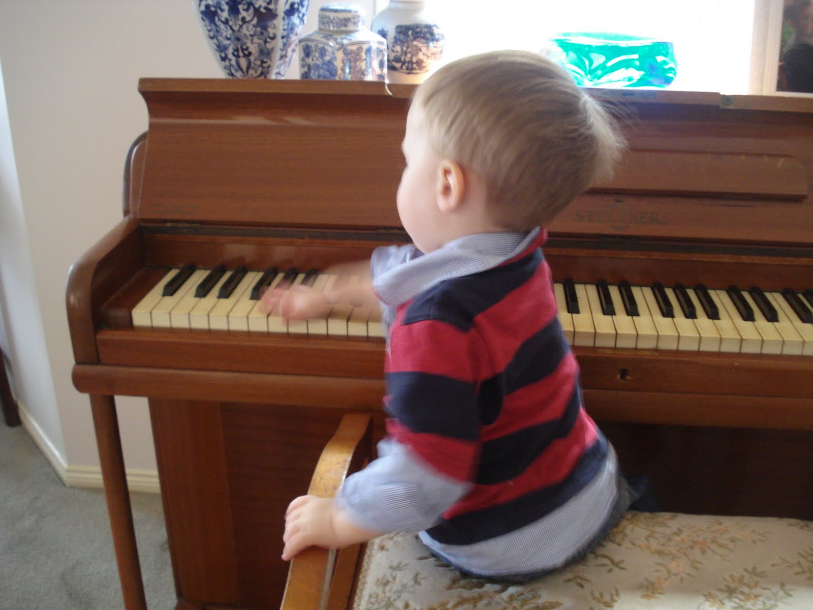 Red Cardinal ZARA THE BRIDE AND