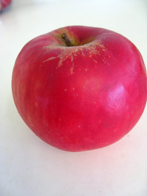 The Orchard Farm Shop, Redmoor Lane, Wisbech English eating apples