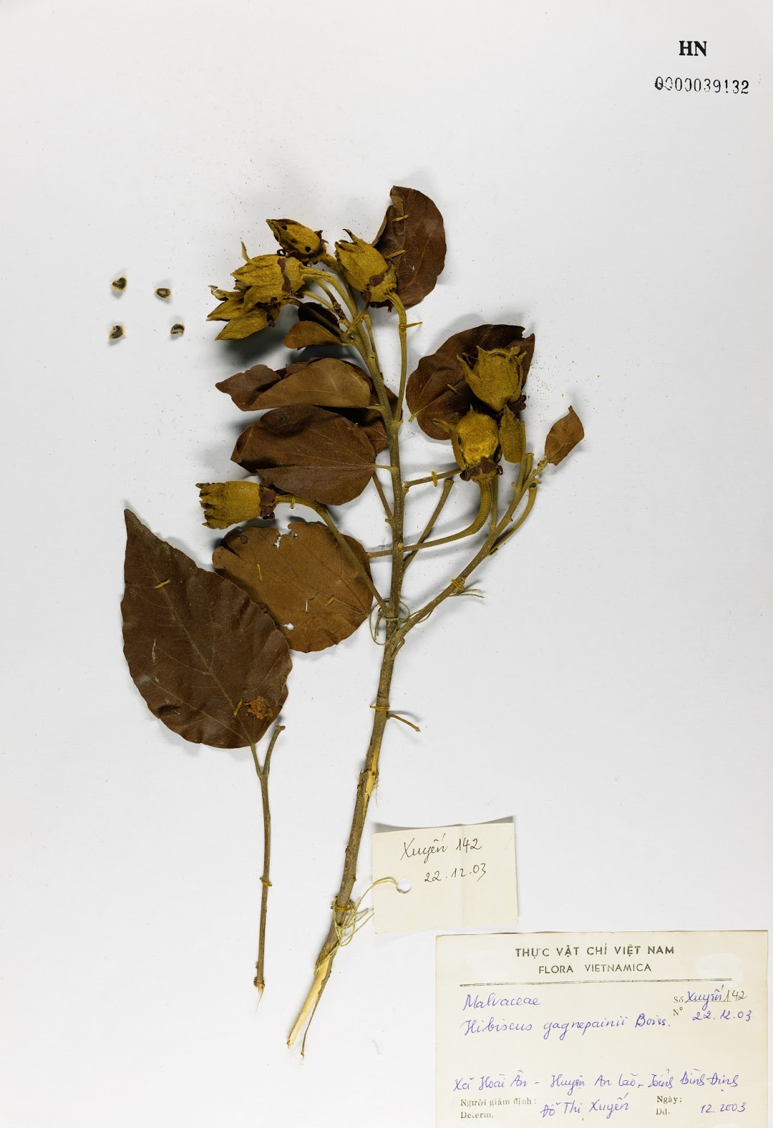 Digital Photo Repro and Digital Asset Management (DAM) Digitizing