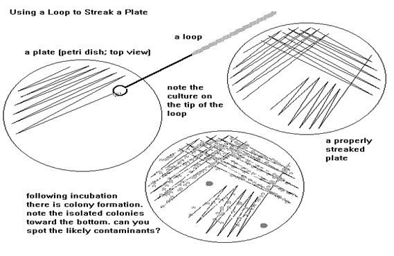 gambar teknik gores sinambung