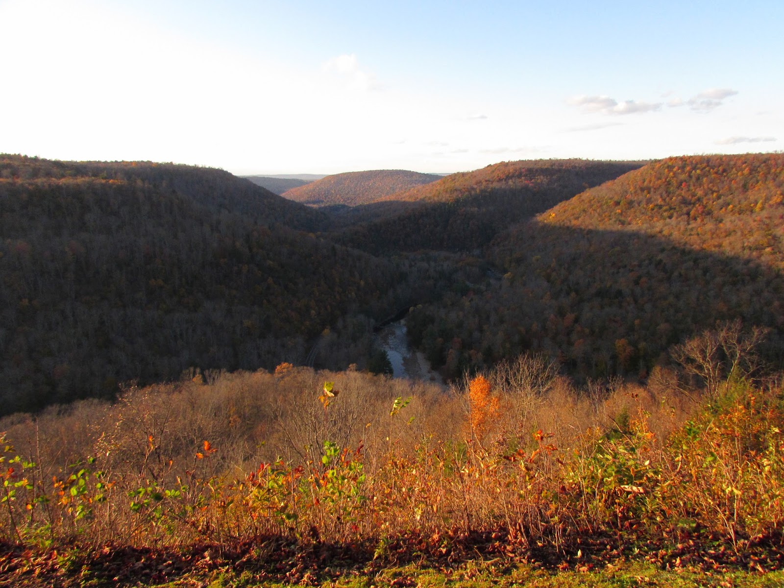 Loyalsock Canyon Vista, Worlds End State Park, Sullivan County, PA Interesting Pennsylvania