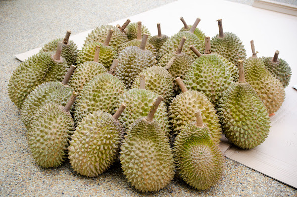 Tip Memilih Buah Durian