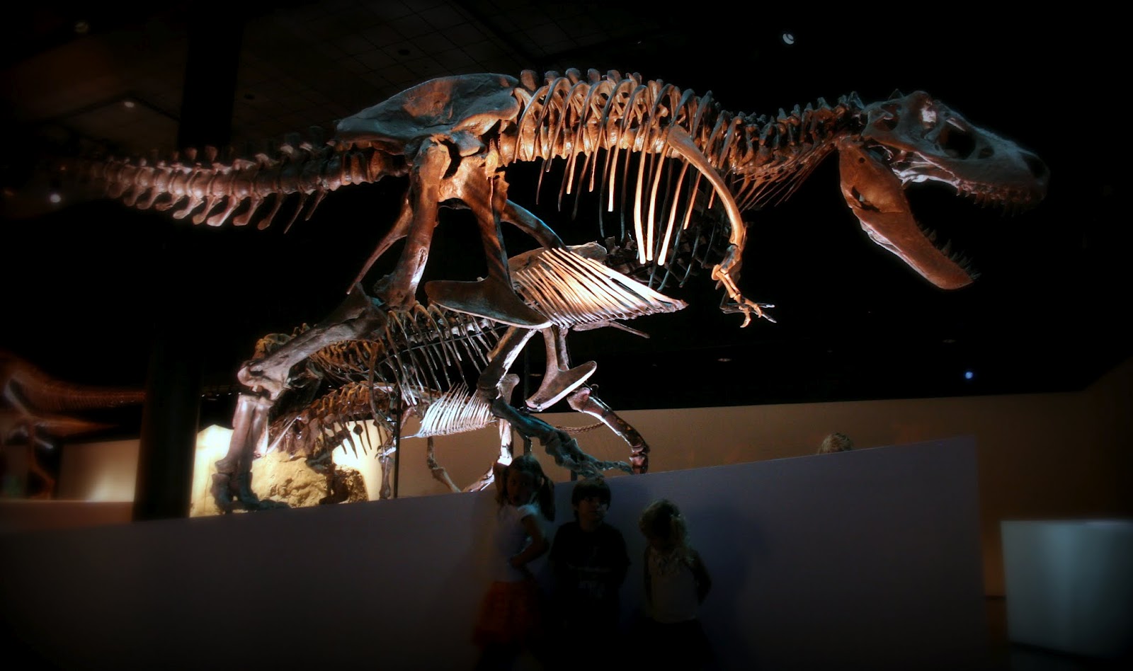 Out On A Whim: Houston Museum of Natural Science Dinosaur Exhibit Photos