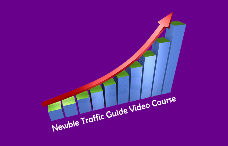 Newbie Traffic Guide Video Course Newbie Traffic Guide Video Course