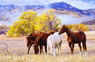 hermosos-caballos-en-paisajes