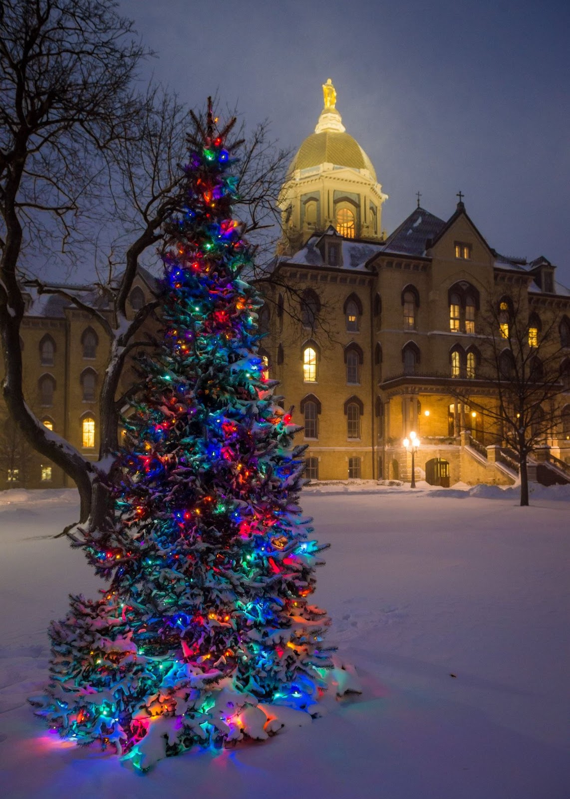 merry christmas to all 69 domers and their families the notre dame christmas