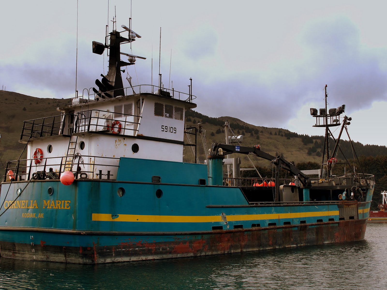 Tammy and Steve's Alaska Adventure! Kodiak, AK (Yes, Kodiak . . . as