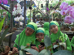 Kebun Anggrek