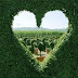 Защо "любовните сърчица" изобщо не приличат на истинското сърце?