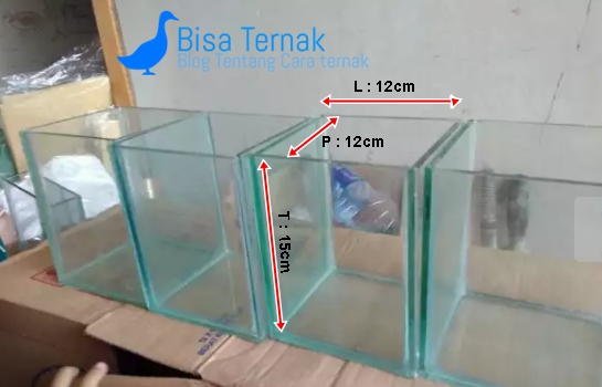 Kumpulan Materi Pelajaran Dan Contoh Soal 3 Ukuran Aquarium Ikan