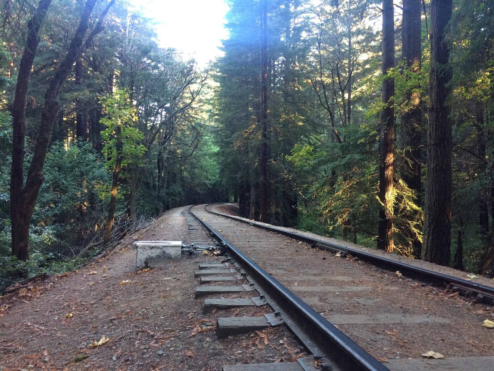Hiking Garden of Eden, Santa Cruz, United States | Willy's Outdoor