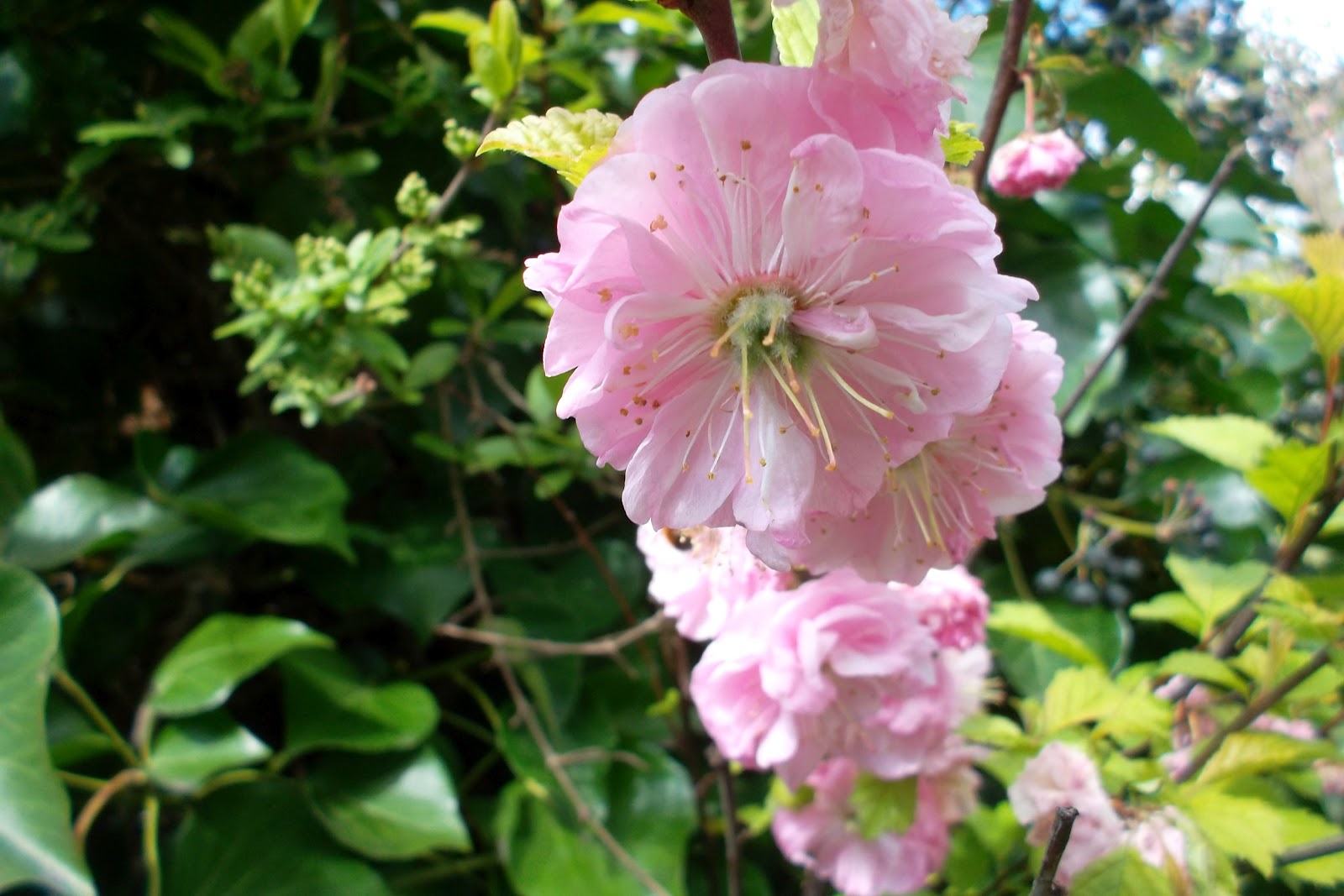 Babaságok,mindennapok Rotterdam Rules