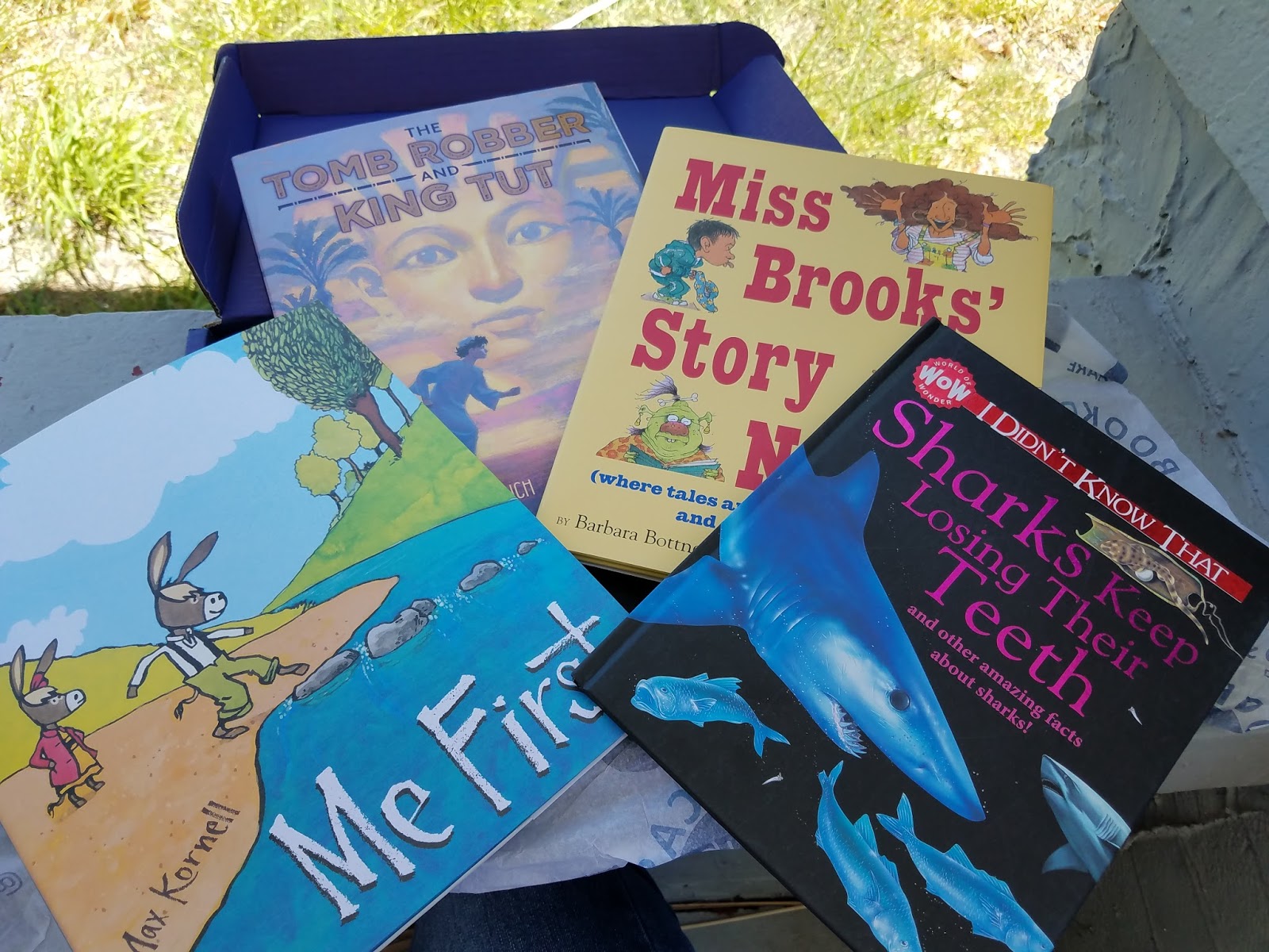 The ABCD Diaries Monthly Subscription Box for Book