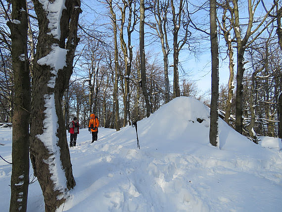 Kamień nad Jaśliskami (857 m n.p.m.).