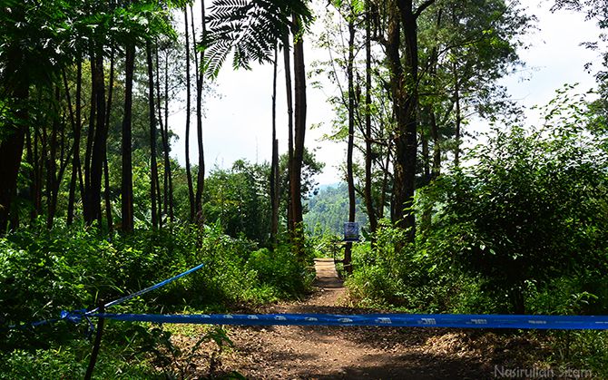 Trek sepeda downhill di Hutan Pinus Ledok Ombo