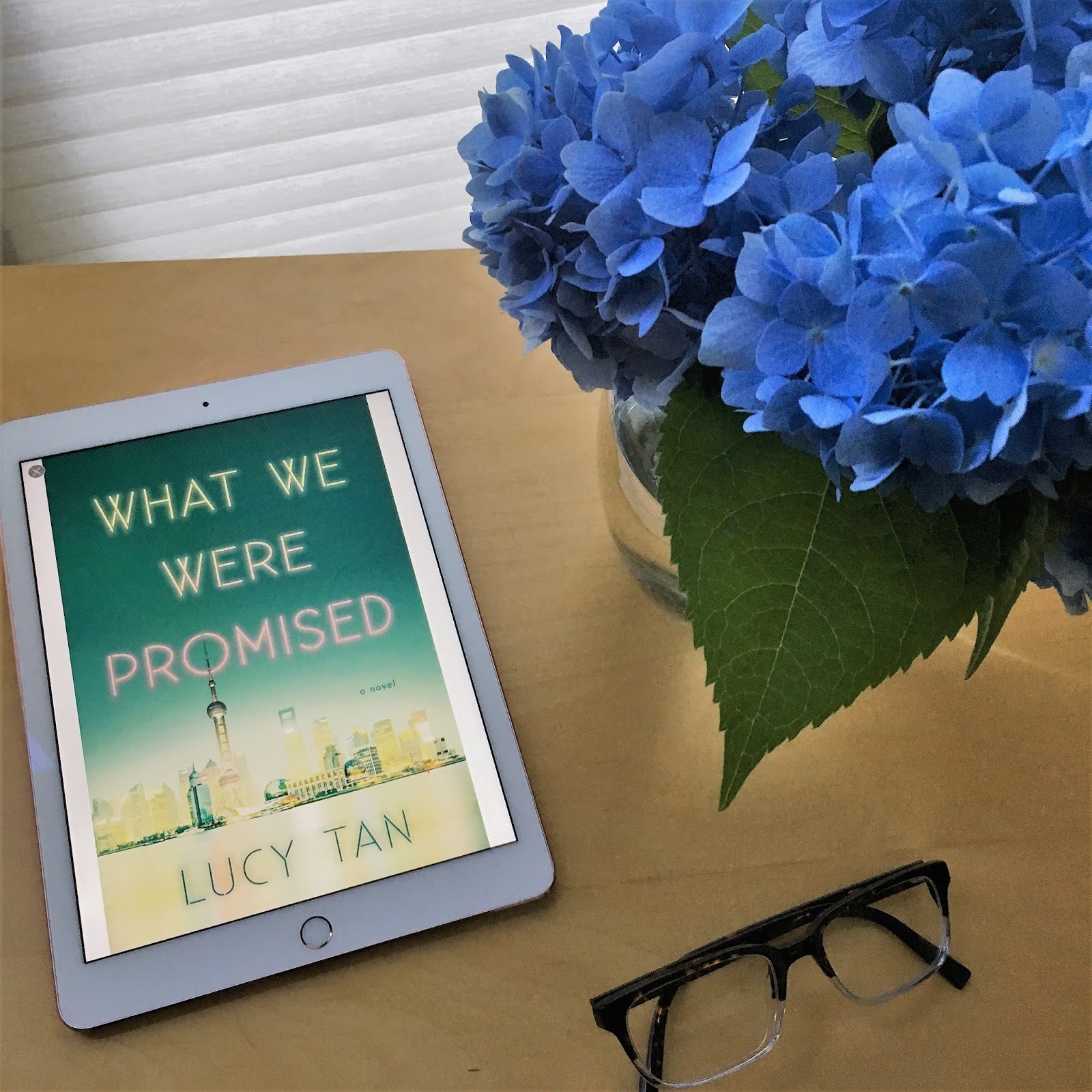 What We Were Promised by Lucy Tan