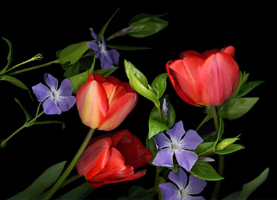 cuadros-de-flores-para-dormitorios cuadros-de-flores