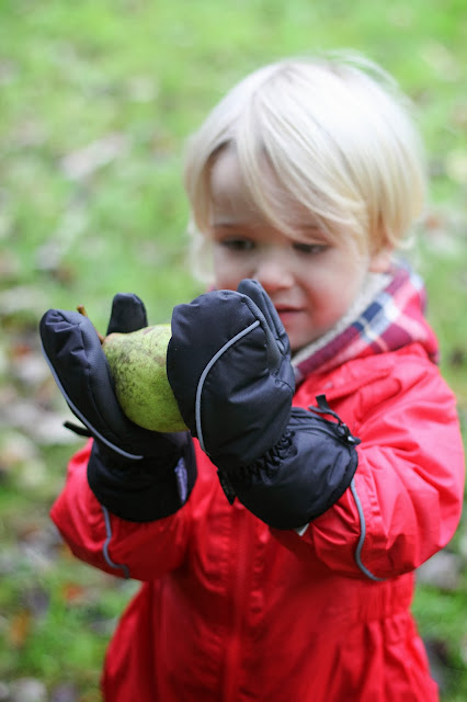 fresh pear