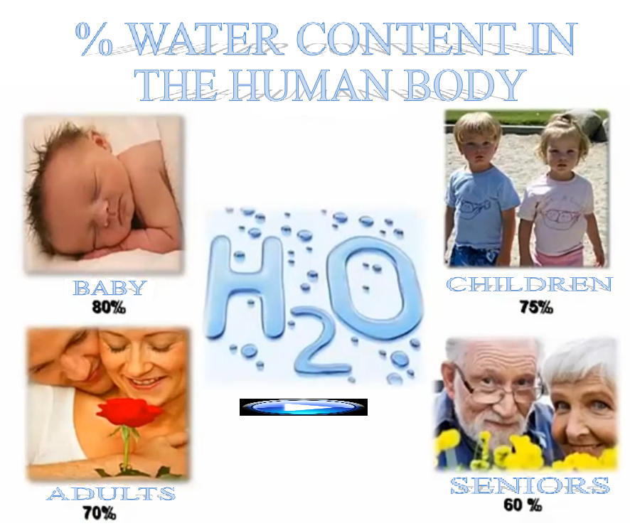 % WATER CONTENT IN THE HUMAN BODY
