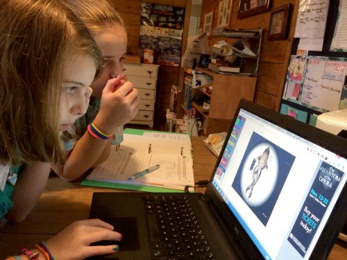 Virtual dissection with Surfing the Net: Science Virtual dissection with Surfing the Net: Science