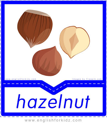 Hazelnut - English flashcards for the fruits and vegetables topic