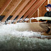 Three Reasons to Insulate Your Attic