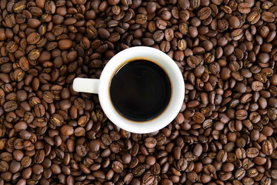 Procesamiento café haba y arveja fusión ideal hecha en casa
