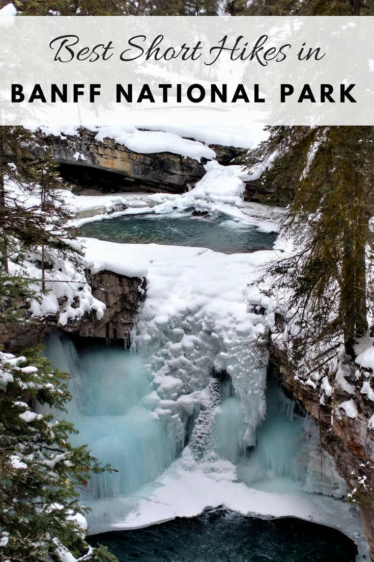 The Best Short Hikes in Banff National Park Part 1 Banff Area