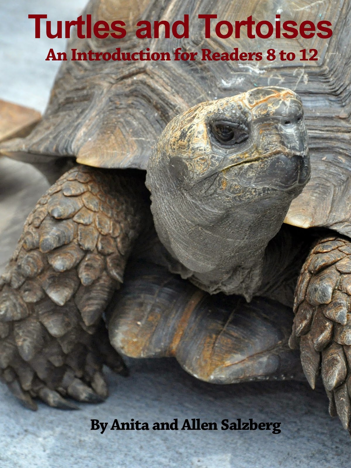 http://smile.amazon.com/TURTLES-AND-TORTOISES-Introduction-Readers-ebook/dp/B00TJCWWEC/ref=zg_bs_158637011_1