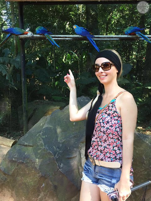 parque das aves foz do iguaçu