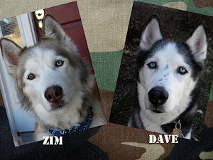 Adventure Animals Judges Dave and Zim