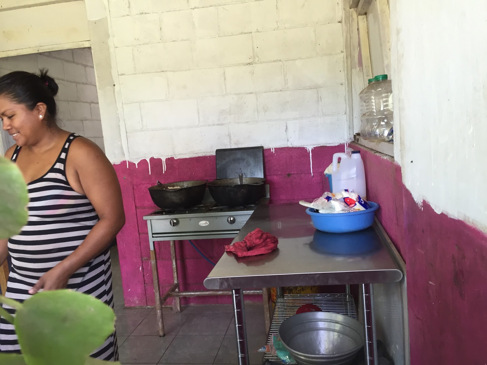 Elmira College Nicaragua 2016: Waves of Hope