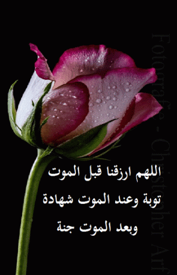 صور متحركة معبرة