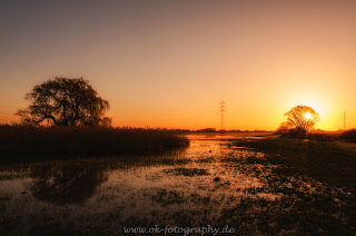 Sonnenaufgang Ahsewiesen Naturfotografie Nikon