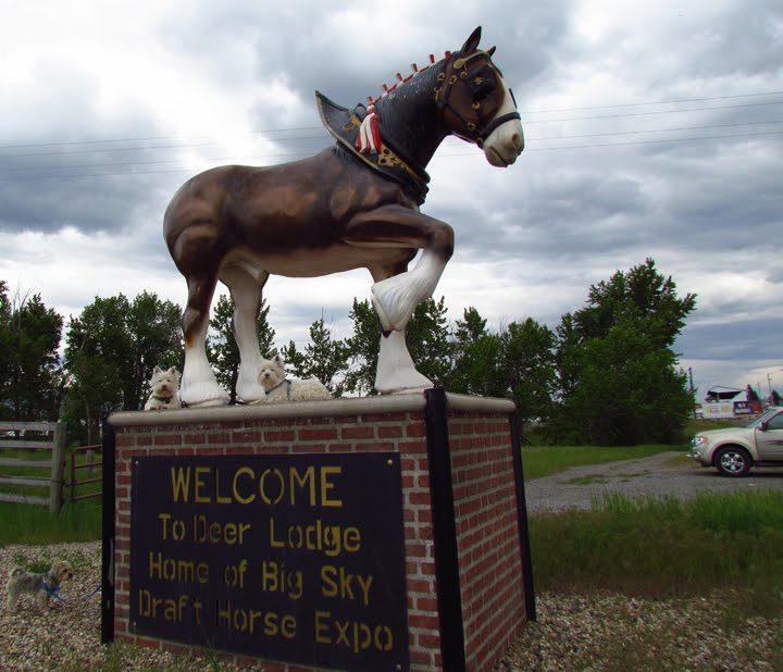 Photography by Pearl Blanche & Lycy's Visit Deer Lodge, Montana