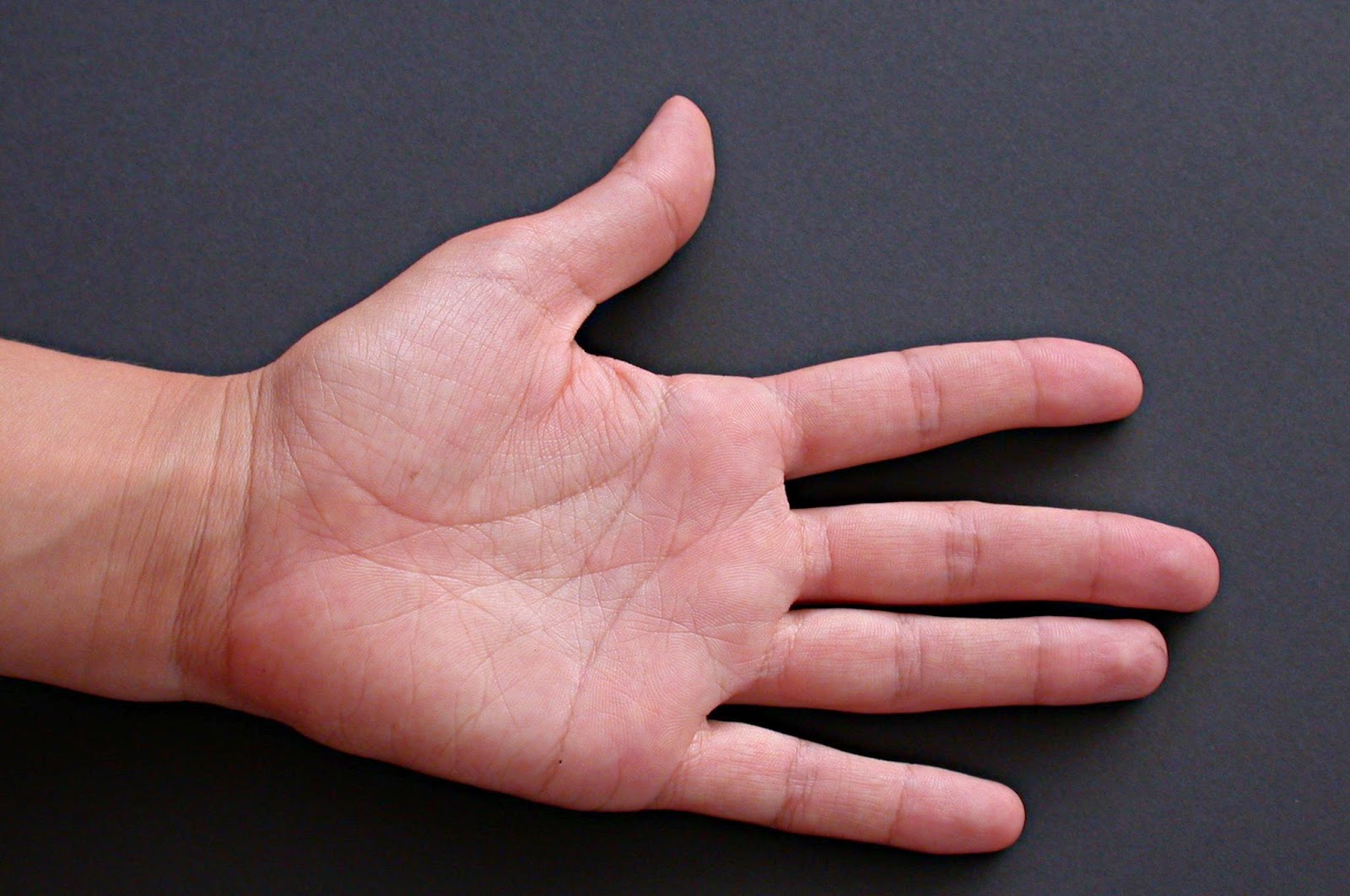 El tamaño de los dedos revela el grado de fidelidad