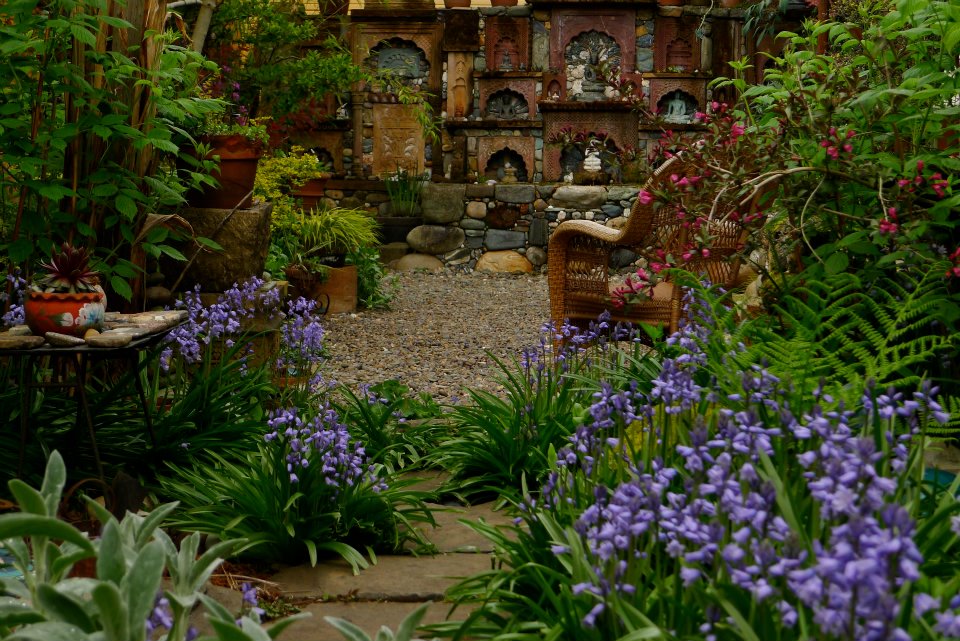the garden Boho Chic Gardens